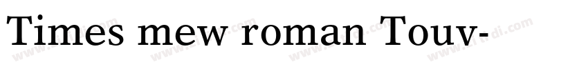 Times mew roman Touv字体转换